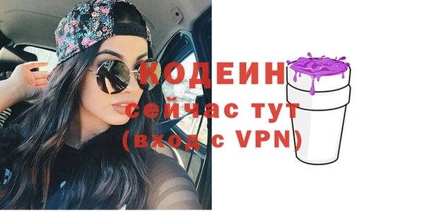 дживик Бородино
