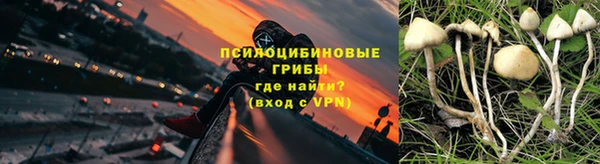 гашик Беломорск