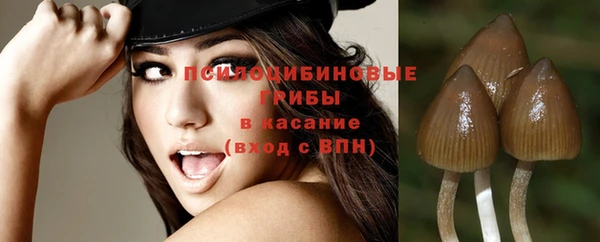 дживик Бородино