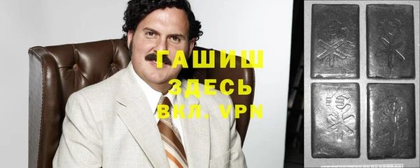 дживик Бородино