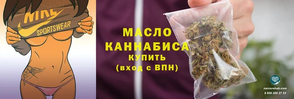 дживик Бородино