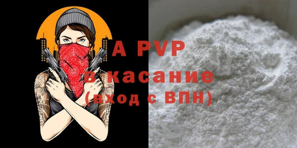 дживик Бородино